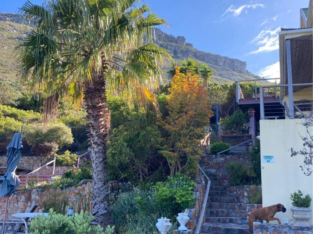 Dunvegan Lodge Clovelly Εξωτερικό φωτογραφία